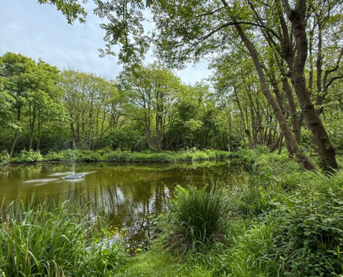 2_Spiekeroog_7701